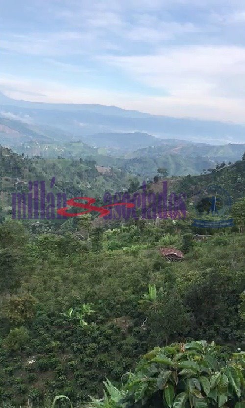Foto de Lote / terreno para Venta en Bajo tablazo, Manizales - 9346