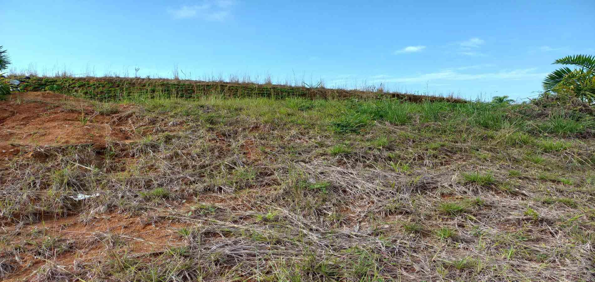 Foto de Lote / terreno en Venta en Cerritos, Pereira - 6 - 279067404