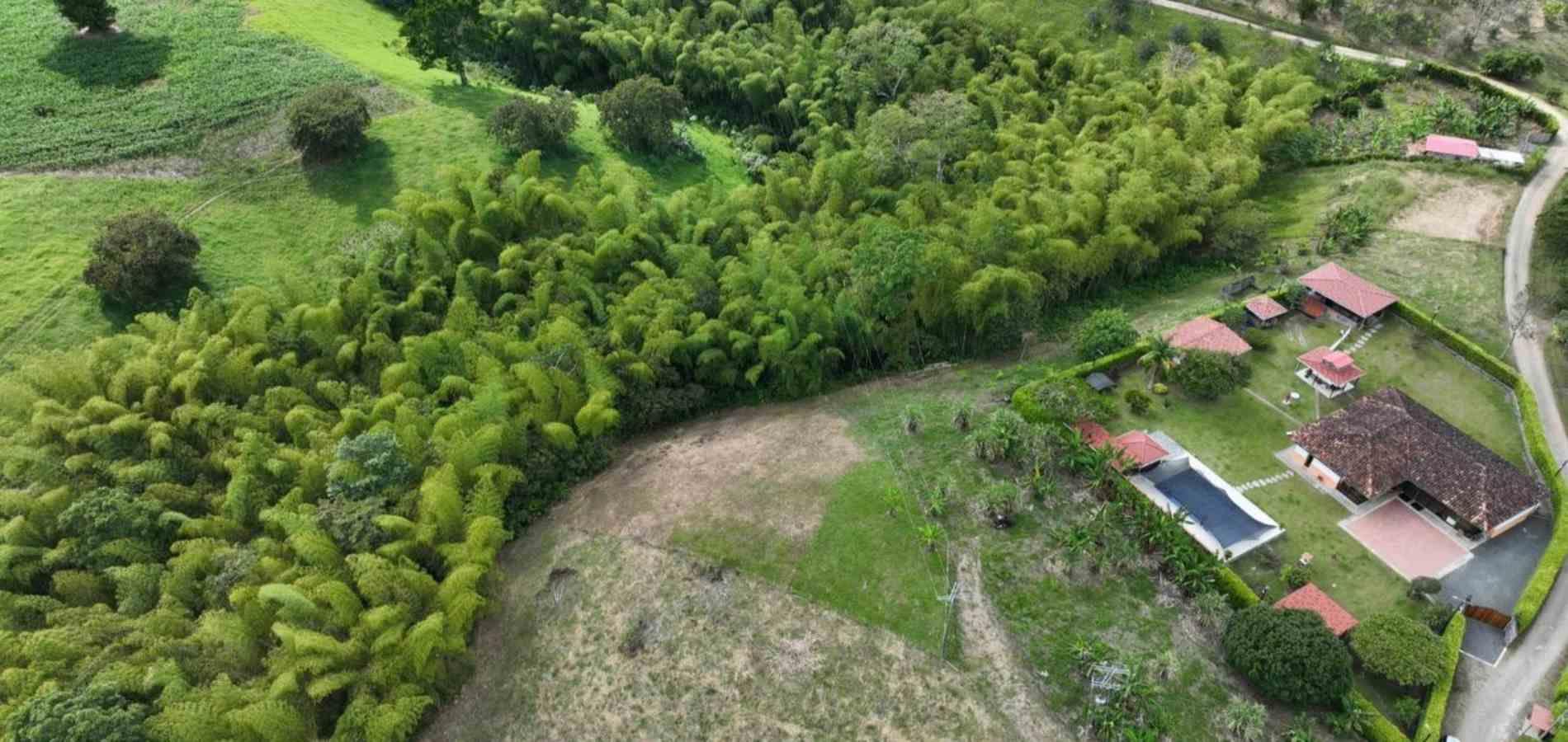 Foto de Lote / terreno en Venta en Centro, Quimbaya - 6 - 279068851