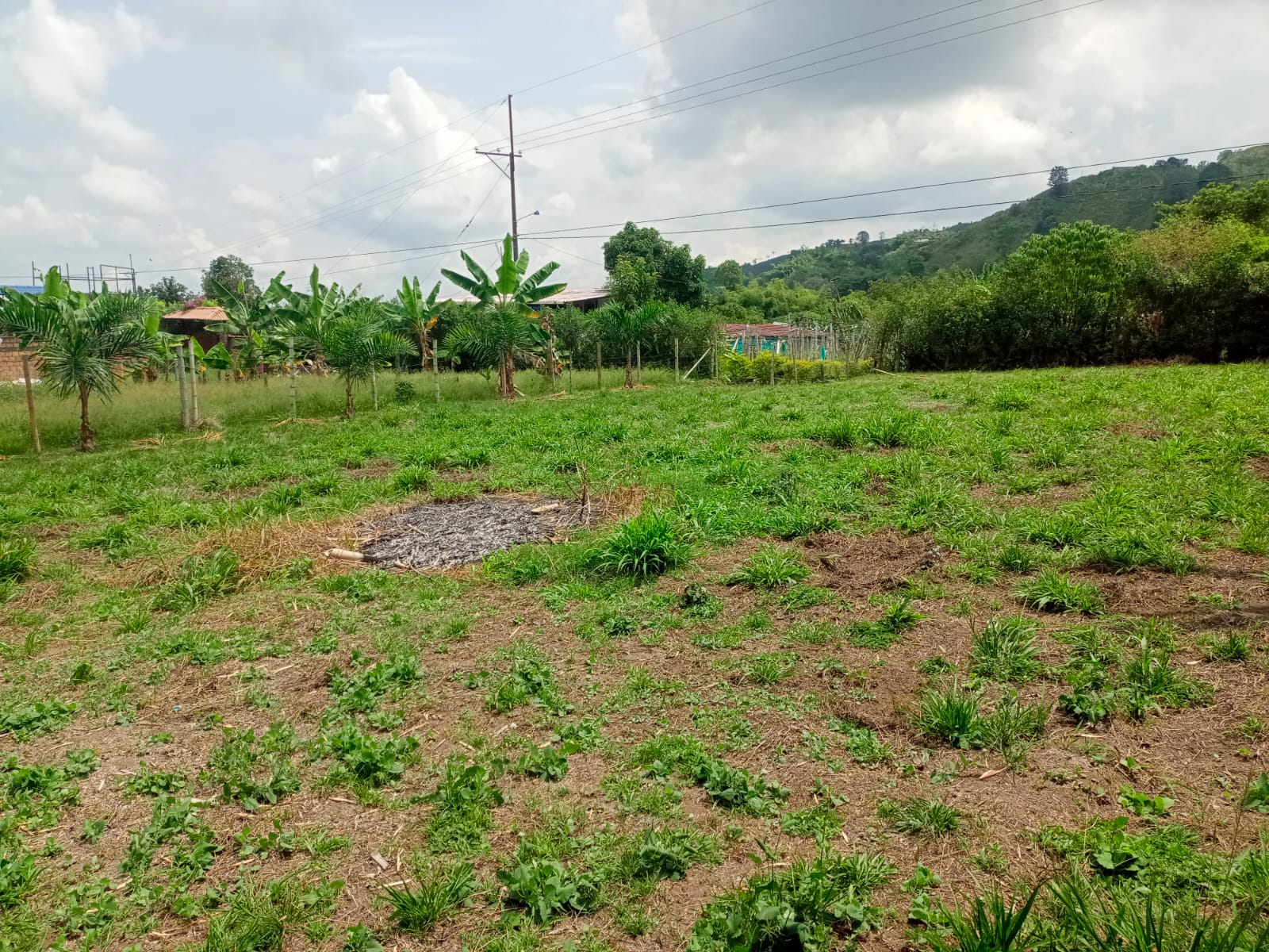 Foto de Lote / terreno en Venta en Santa rosa de cabal, Santa rosa de cabal - 12 - 279059203