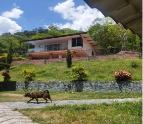 Foto de Casa campestre en Venta en Berlin, Ibague - 1 - 279063576