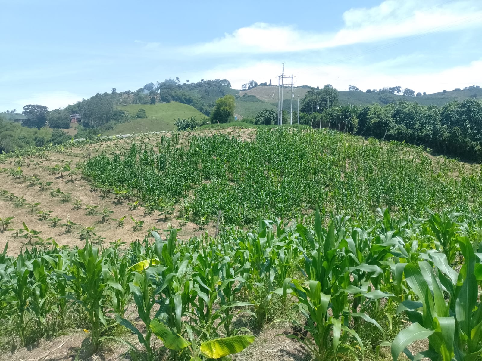 Foto de Finca en Venta en La cabaña, Manizales - 8 - 279058352