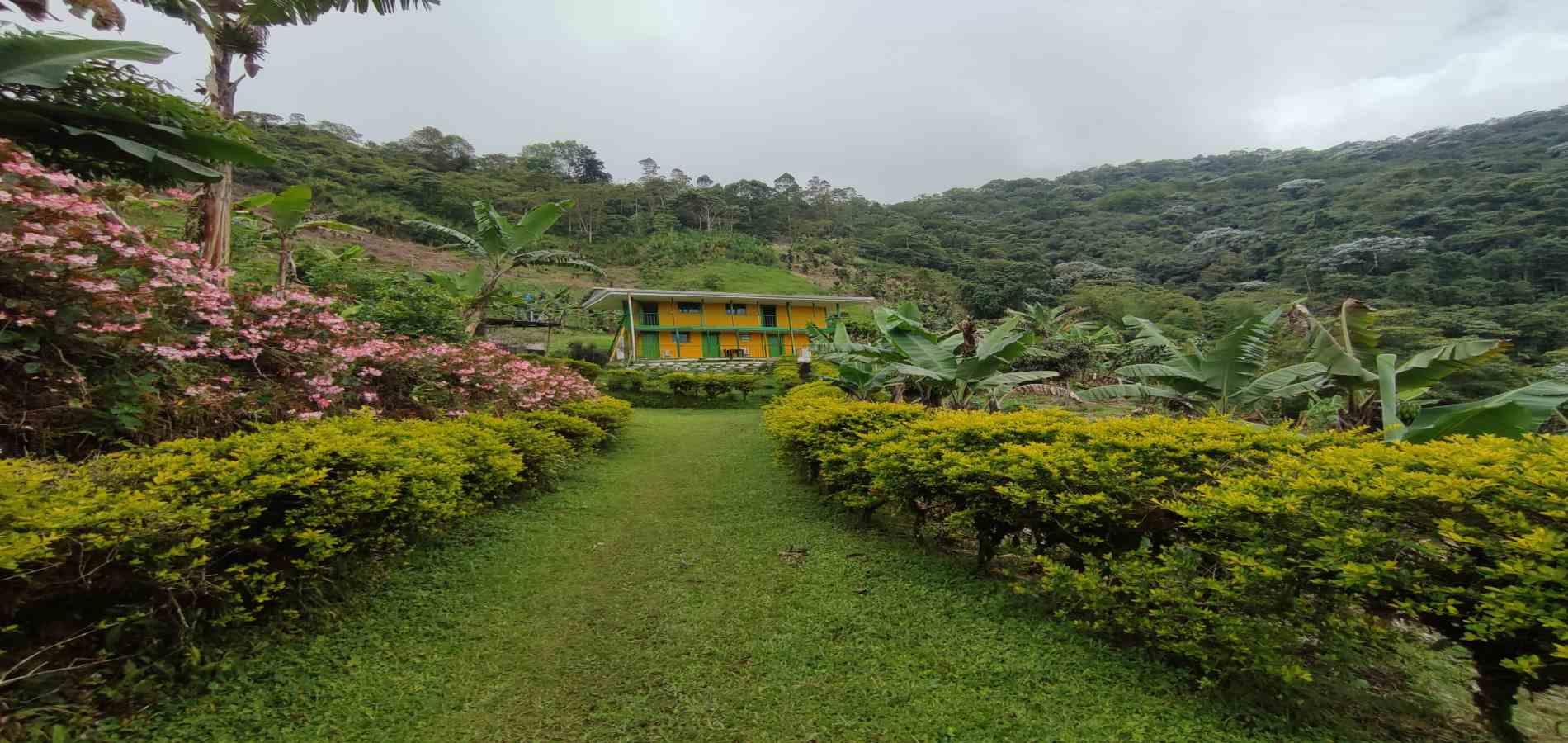 Foto de Finca en Venta en Vereda la independencia alto del nudo, Dosquebradas - 7 - 279065391