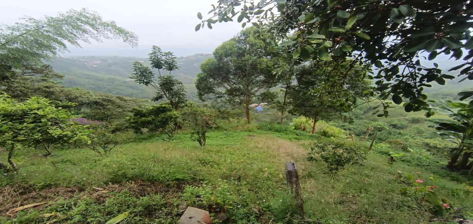 Foto de Finca para Venta en La linda, Manizales - 15895
