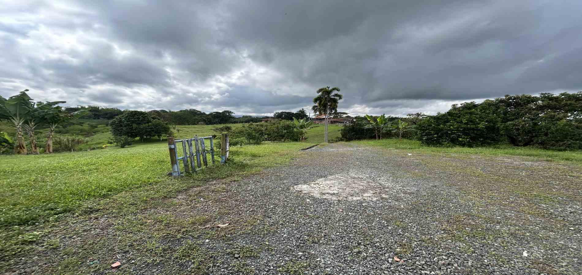 Foto de Finca en Venta en Morelia, Pereira - 5 - 279067012