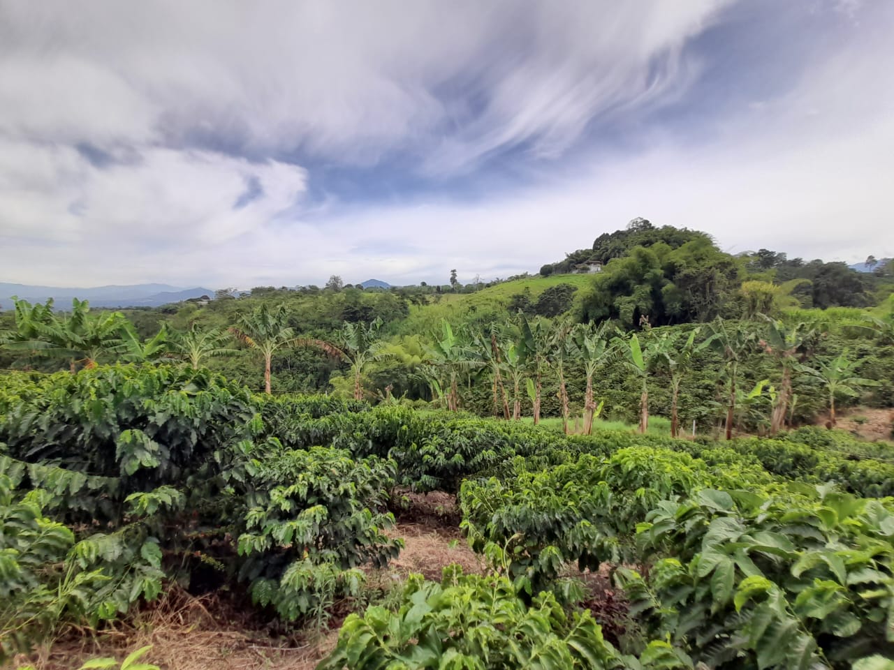 Foto de Lote / terreno en Venta en Arabia, Pereira - 21 - 279059189