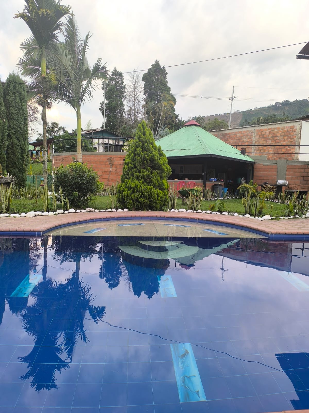 Foto de Finca en Venta en Cuervos, Villamaria - 6 - 279061774