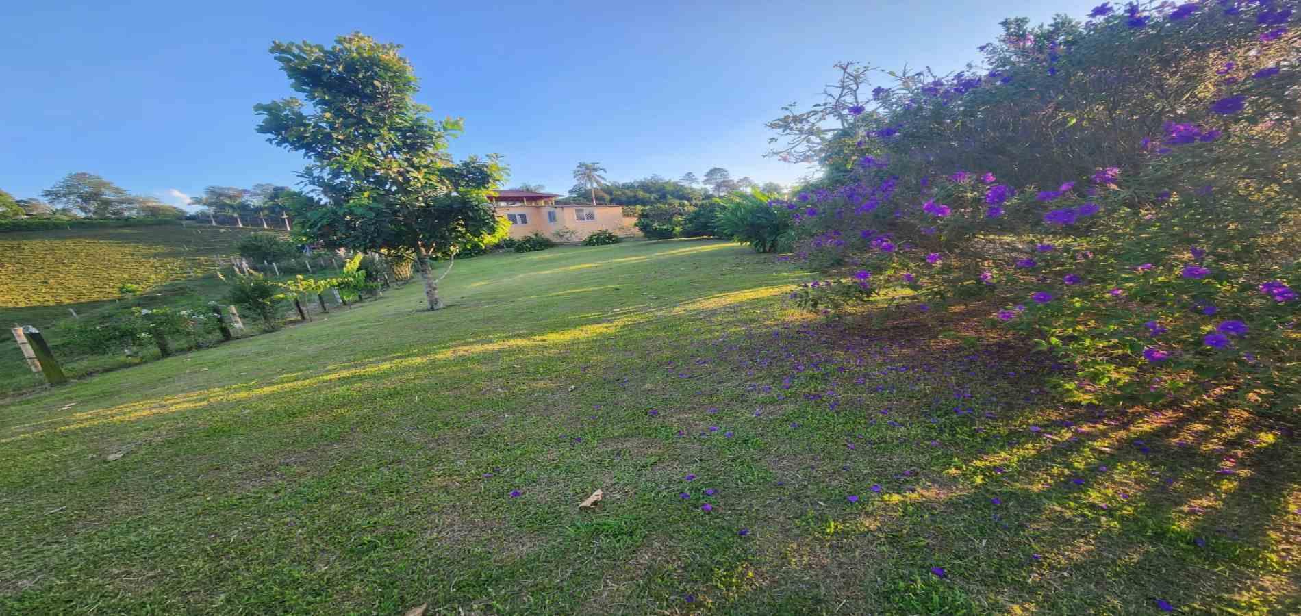 Foto de Finca en Venta en Filandia, Filandia - 16 - 279066535