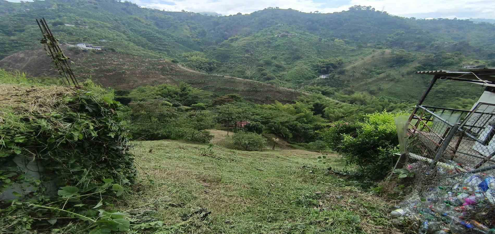 Foto de Lote / terreno en Venta en Vereda la trinidad, Manizales - 17 - 279066610