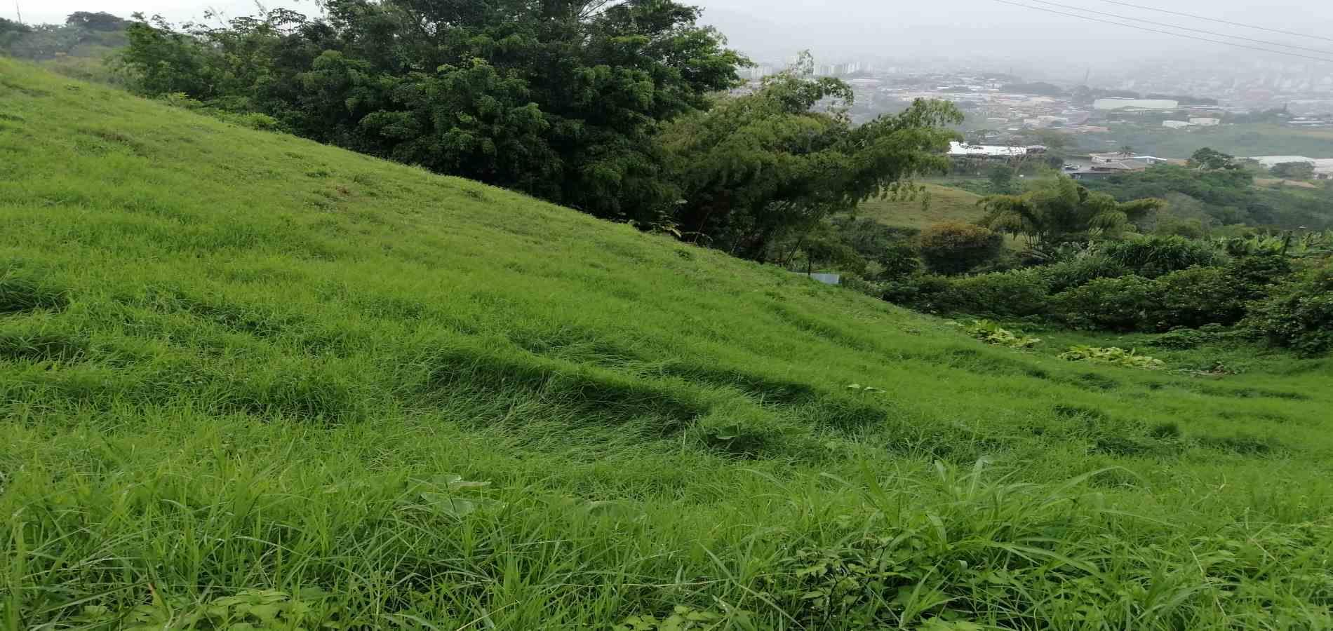 Foto de Lote / terreno en Venta en Av. la romelia el pollo, Dosquebradas - 5 - 279058705