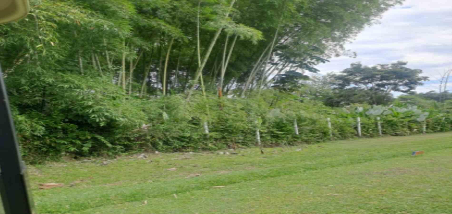 Foto de Lote / terreno en Venta en Las pavas, Manizales - 5 - 279059784