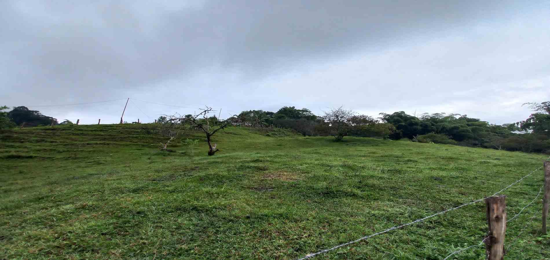 Foto de Lote / terreno en Venta en Veracruz, Santa rosa de cabal - 11 - 279066398