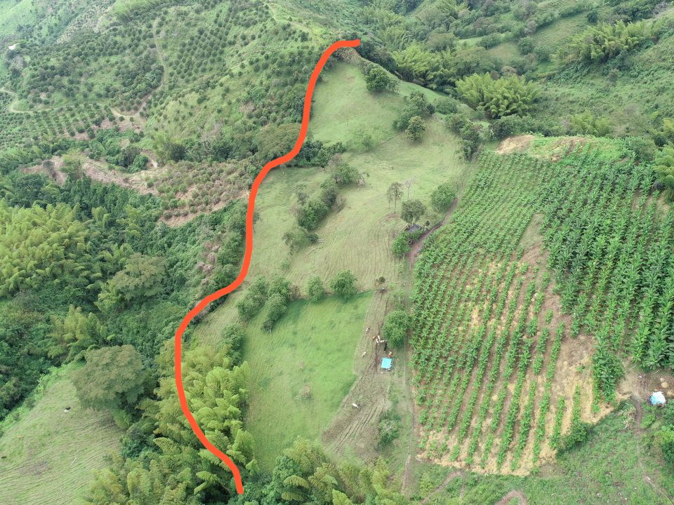 Foto de Finca en Venta en La cabaña, Manizales - 3 - 279062726