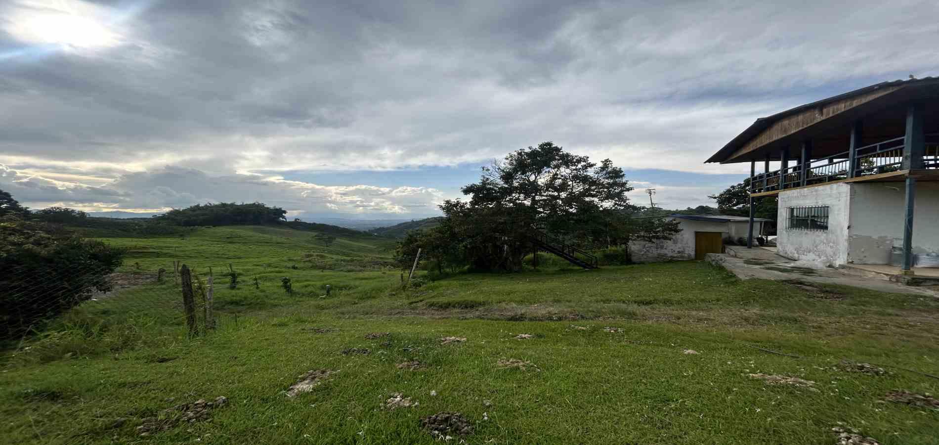 Foto de Finca en Venta en Vereda el placer, Pereira - 9 - 279066578