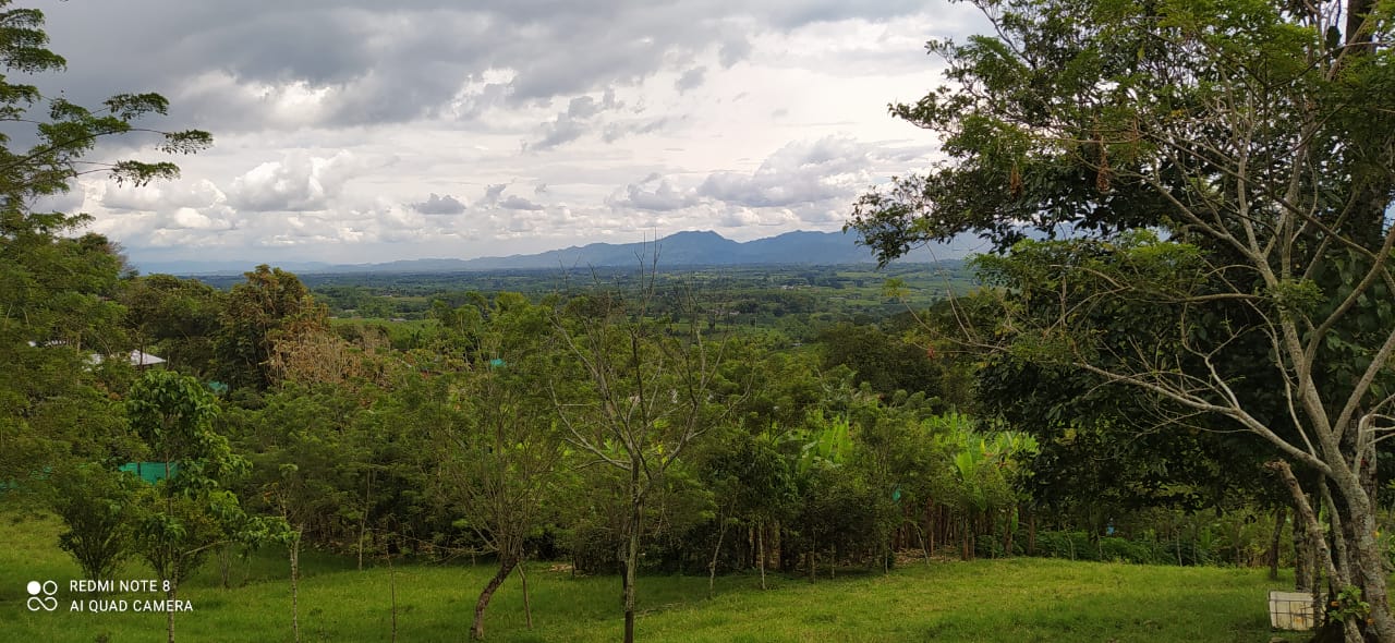 Foto de Lote / terreno en Venta en Altagracia, Pereira - 8 - 279057421