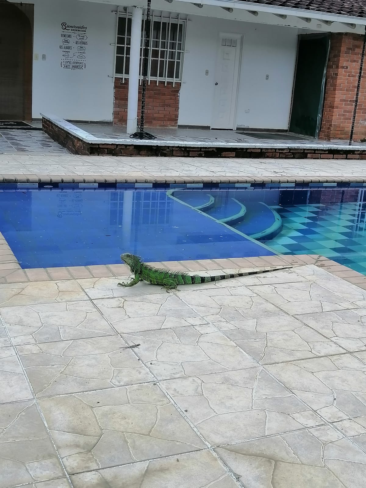 Foto de Casa campestre en Venta en Vereda la libertad, Risaralda - 7 - 279057402