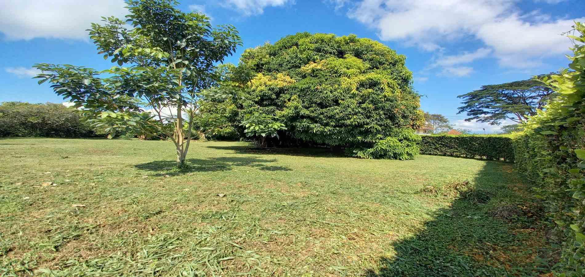 Foto de Lote / terreno en Venta en Vereda santagueda, Palestina - 19 - 279060420