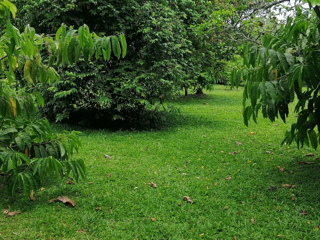 Foto de Lote / terreno en Venta en Cerritos, Pereira - 2 - 279025576
