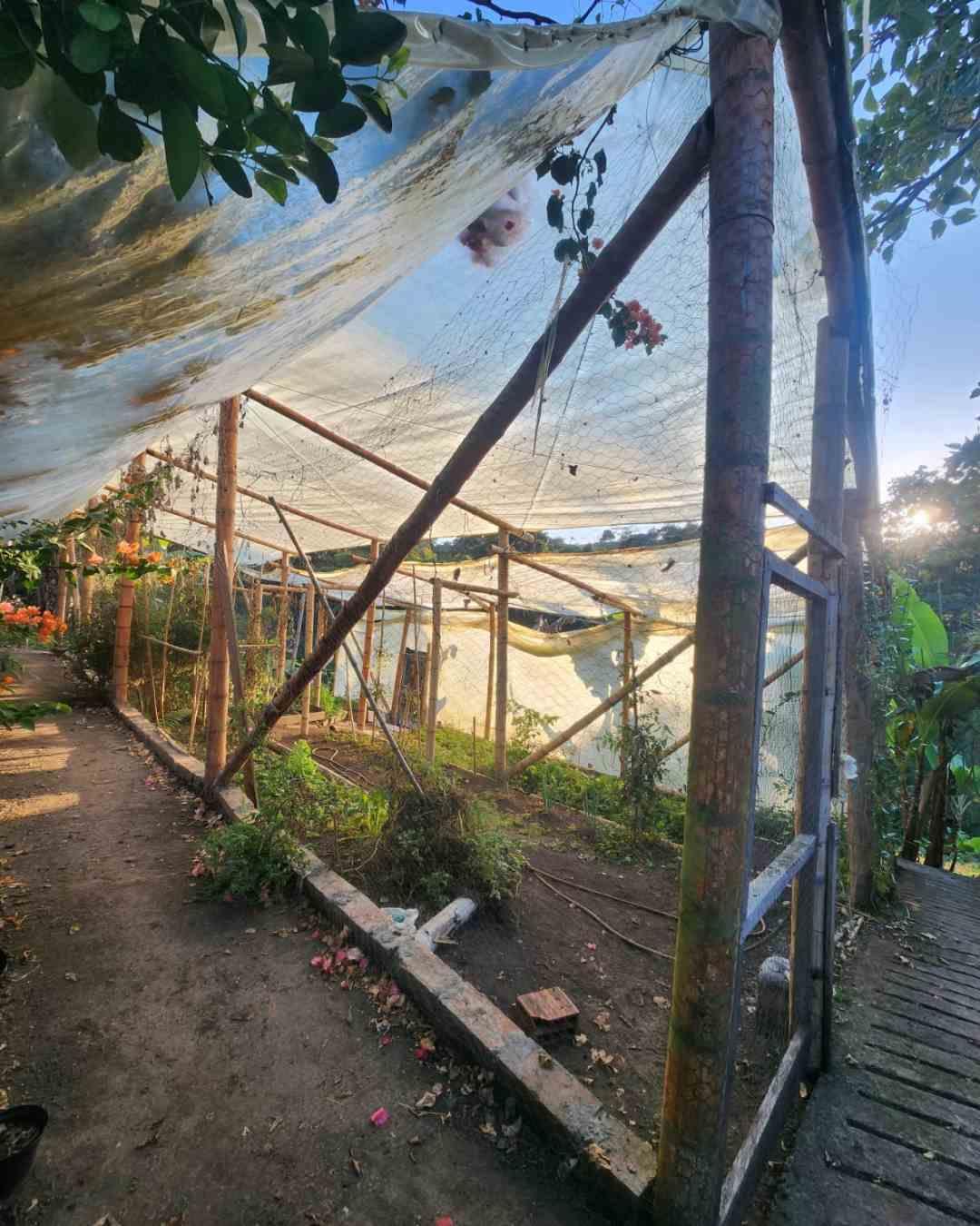 Foto de Finca en Venta en Filandia, Filandia - 11 - 279066535