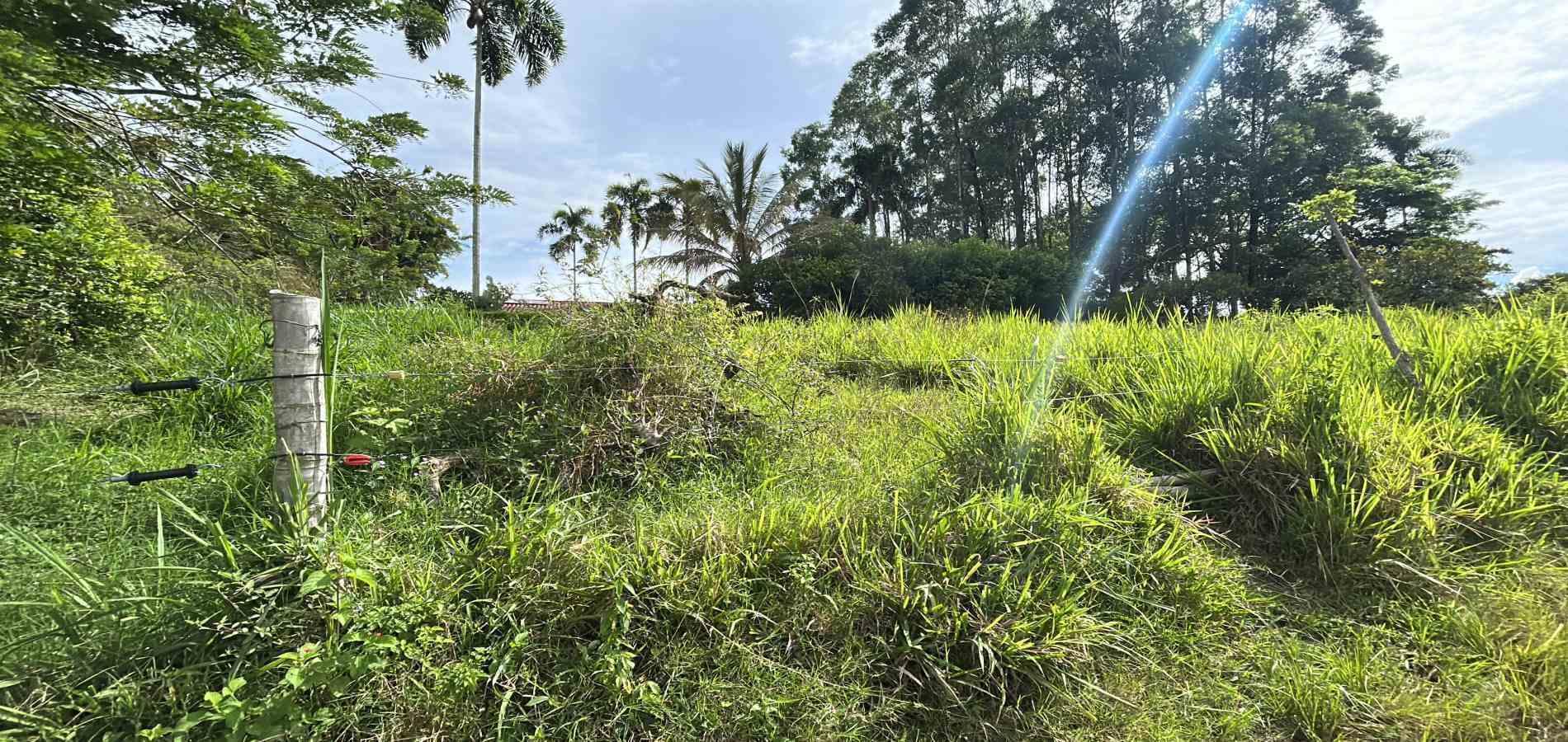 Foto de Lote / terreno en Venta en Cerritos, Pereira - 5 - 279068090