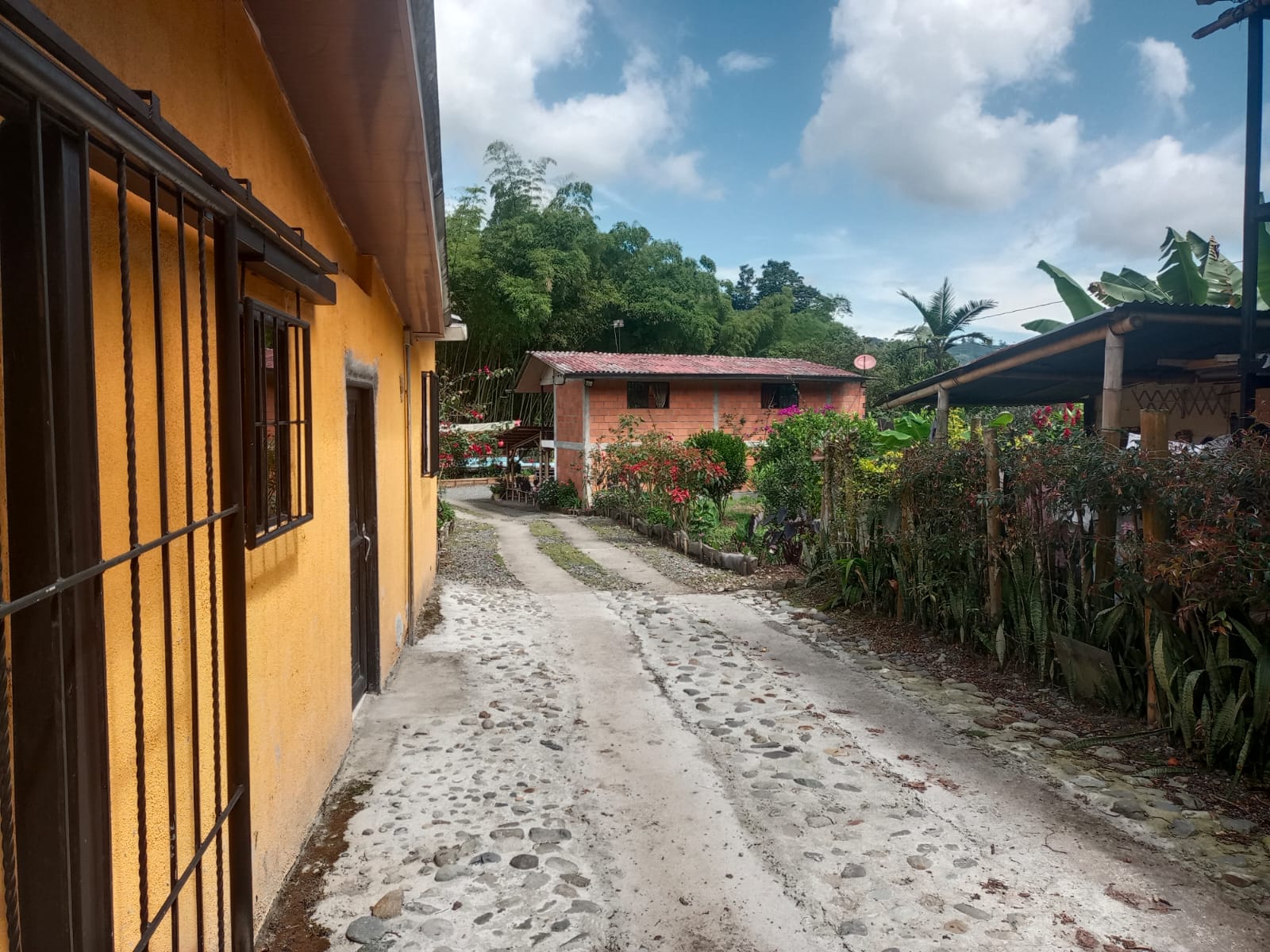 Foto de Finca en Venta en Centro, Santa rosa de cabal - 16 - 279052730