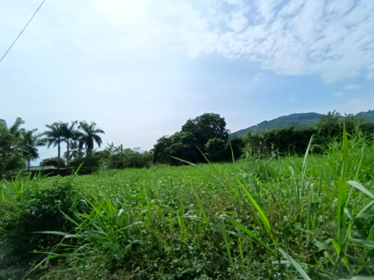 Foto de Lote / terreno en Venta en Vereda santagueda, Palestina - 3 - 279063605