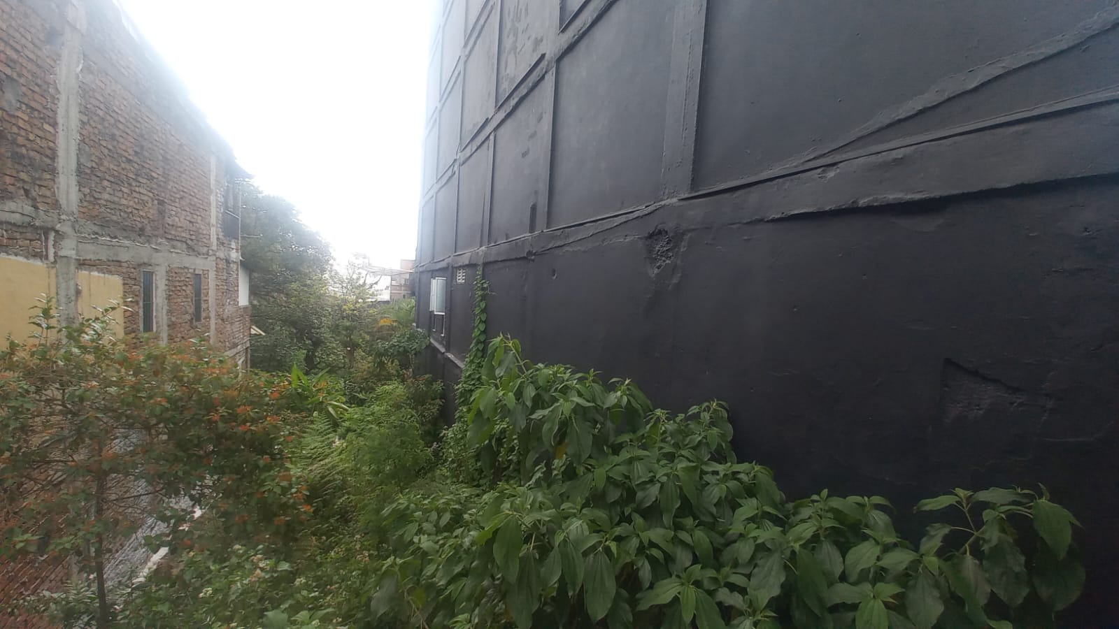 Foto de Lote / terreno en Venta en Fundadores, Armenia  - 8 - 279056606
