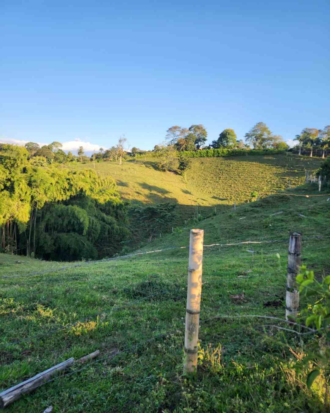 Foto de Finca en Venta en Filandia, Filandia - 22 - 279066535