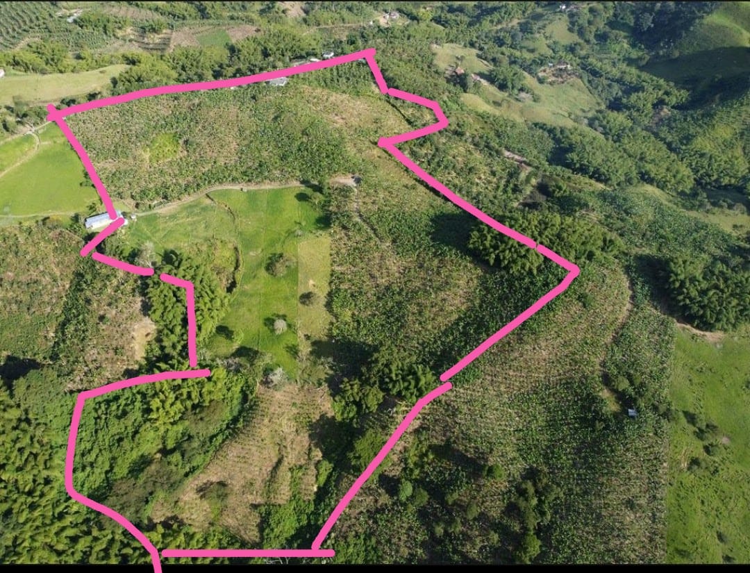 Foto de Finca en Venta en Vereda el placer, Pereira - 2 - 279066578