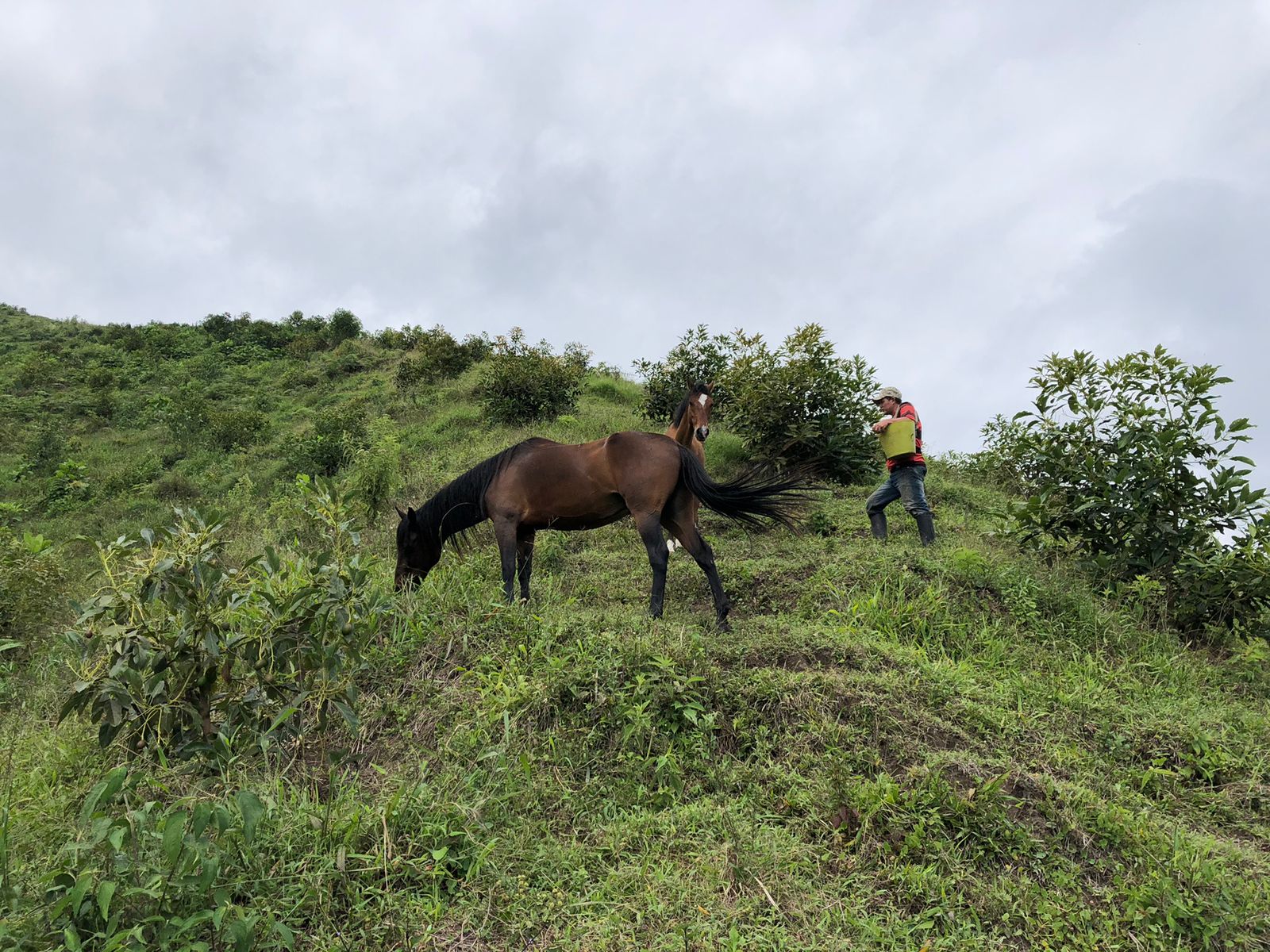 Foto de Lote / terreno en Venta en Llanitos, Villamaria - 7 - 279054085