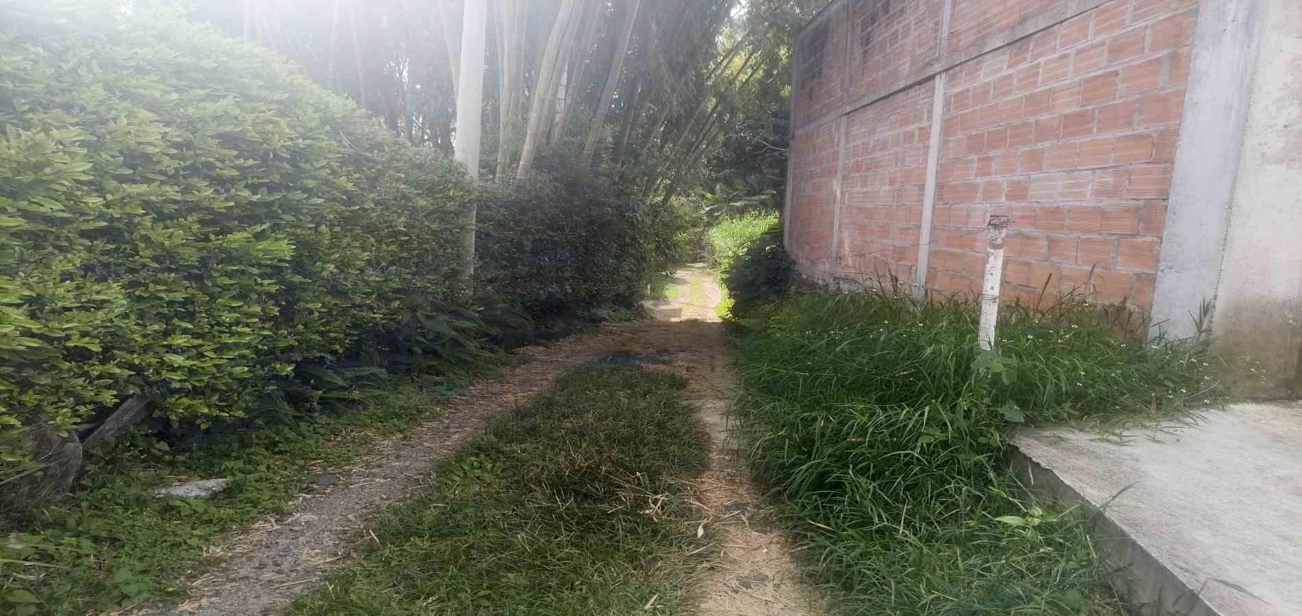 Foto de Casa en Venta en Vereda la cristalina, Circasia - 24 - 279068219
