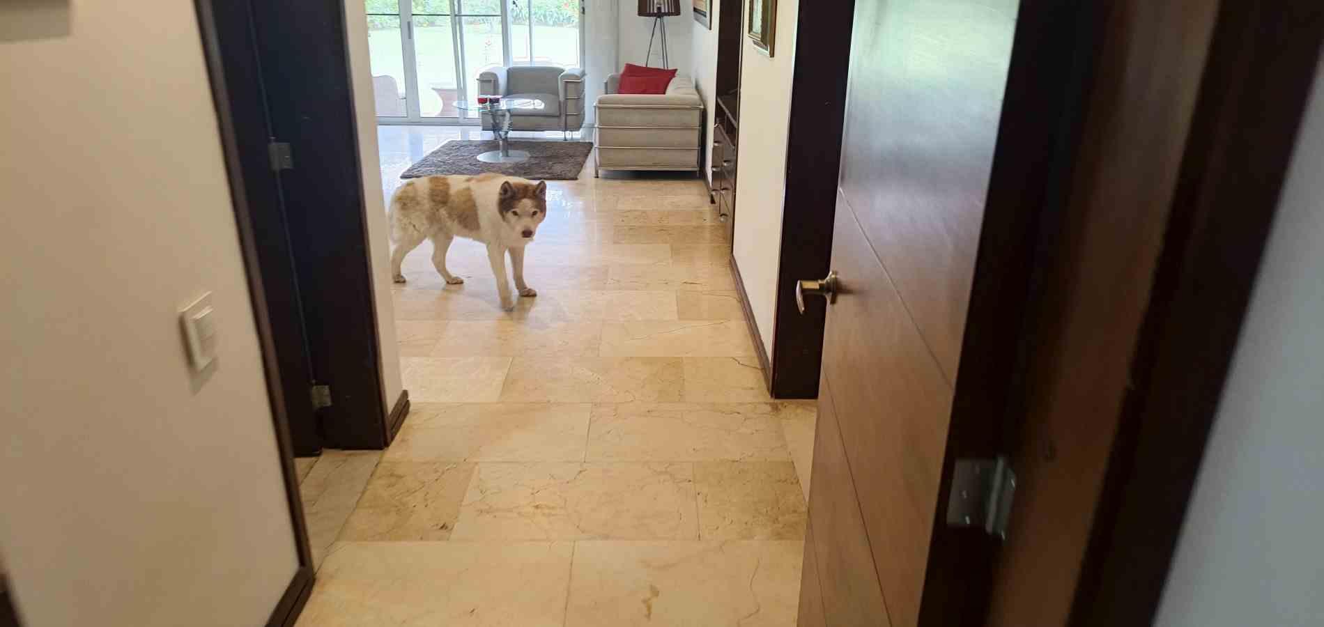 Foto de Casa en Arriendo en El caimo, Armenia  - 28 - 279066662