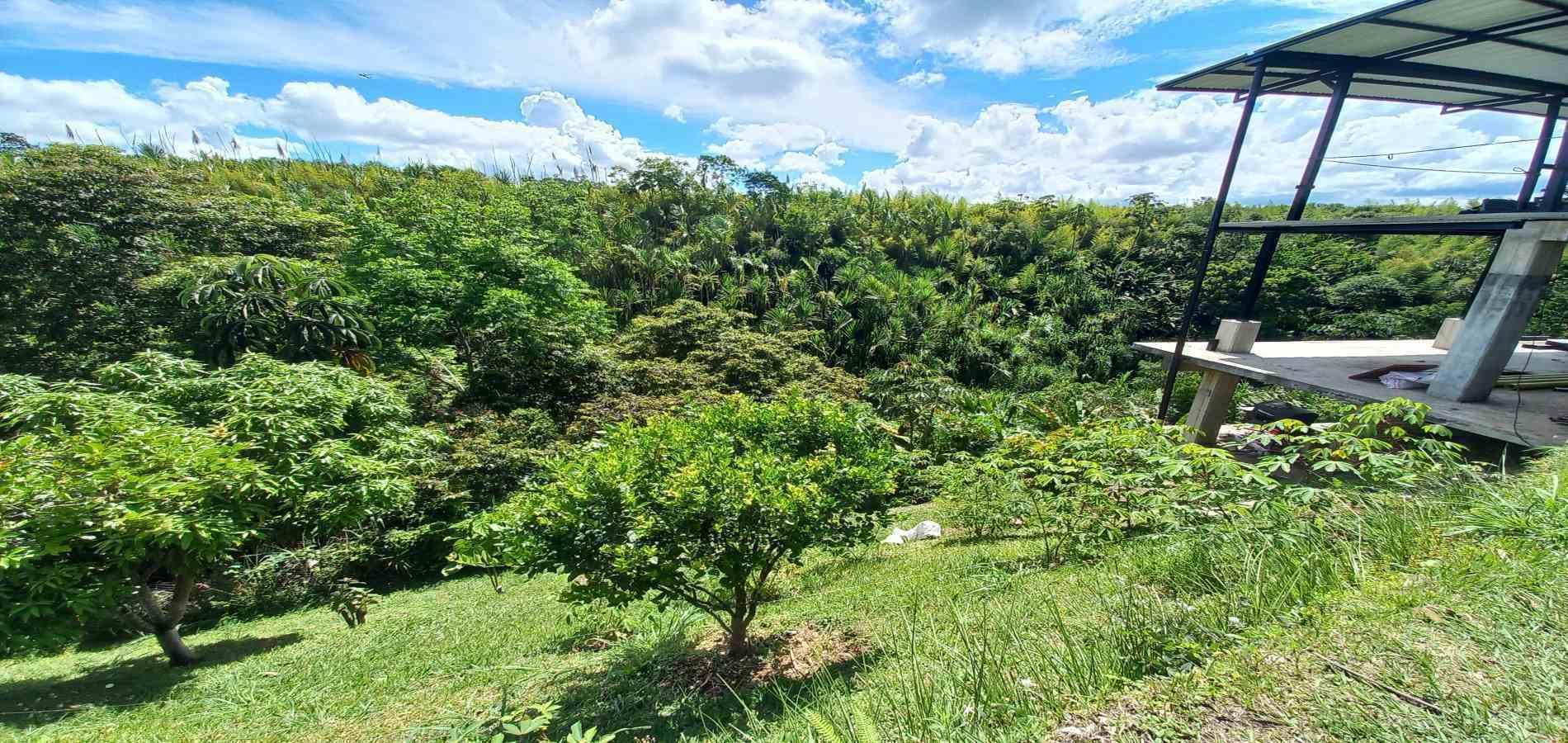 Foto de Casa en Arriendo en Pueblito cafetero, Pereira - 9 - 279068624