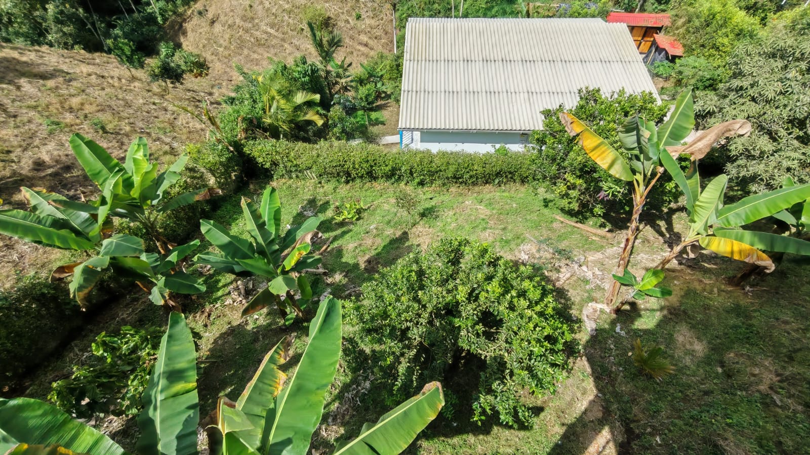 Foto de Casa campestre en Venta en La muleta, Palestina - 9 - 279063714