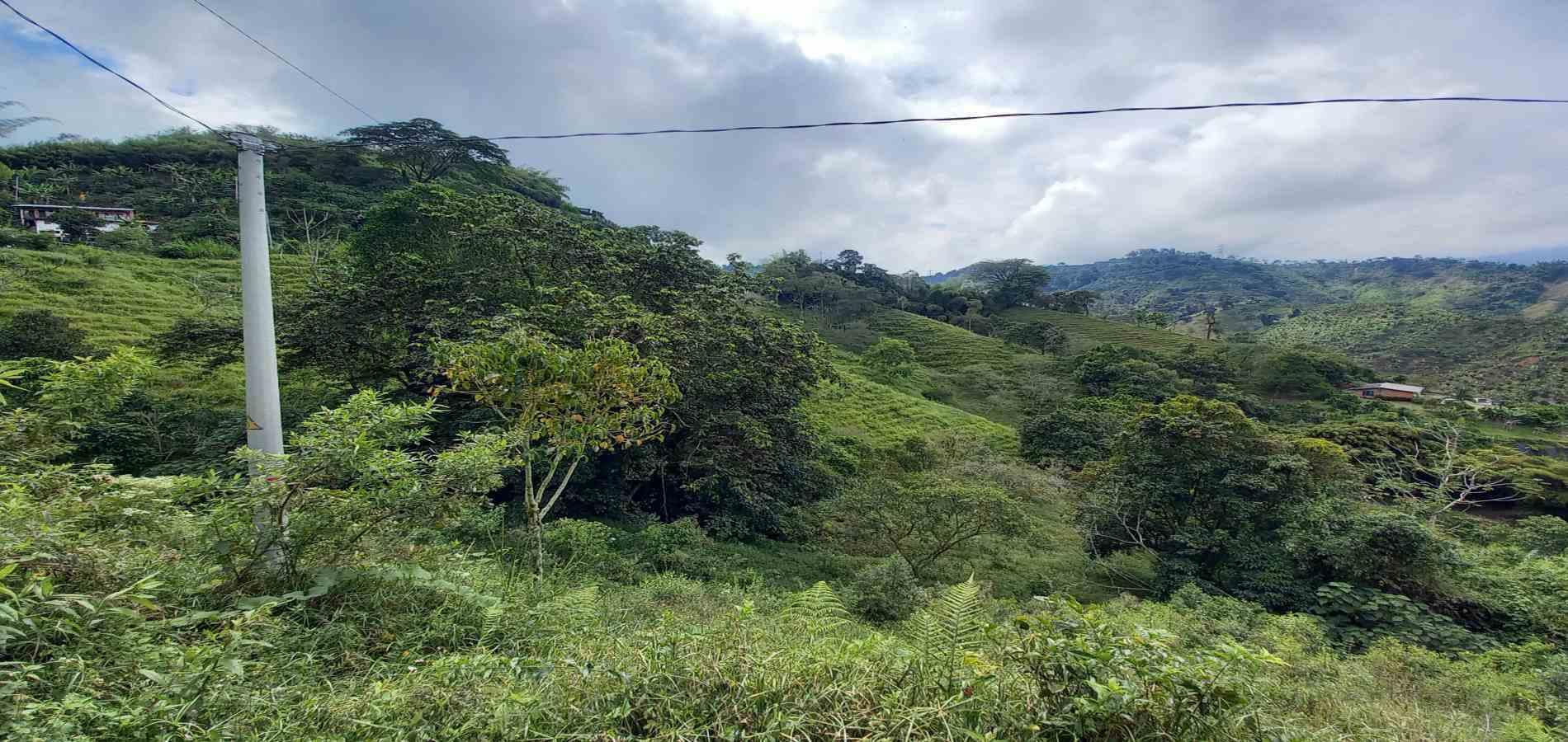 Foto de Lote / terreno en Venta en Vereda la trinidad, Manizales - 18 - 279062688