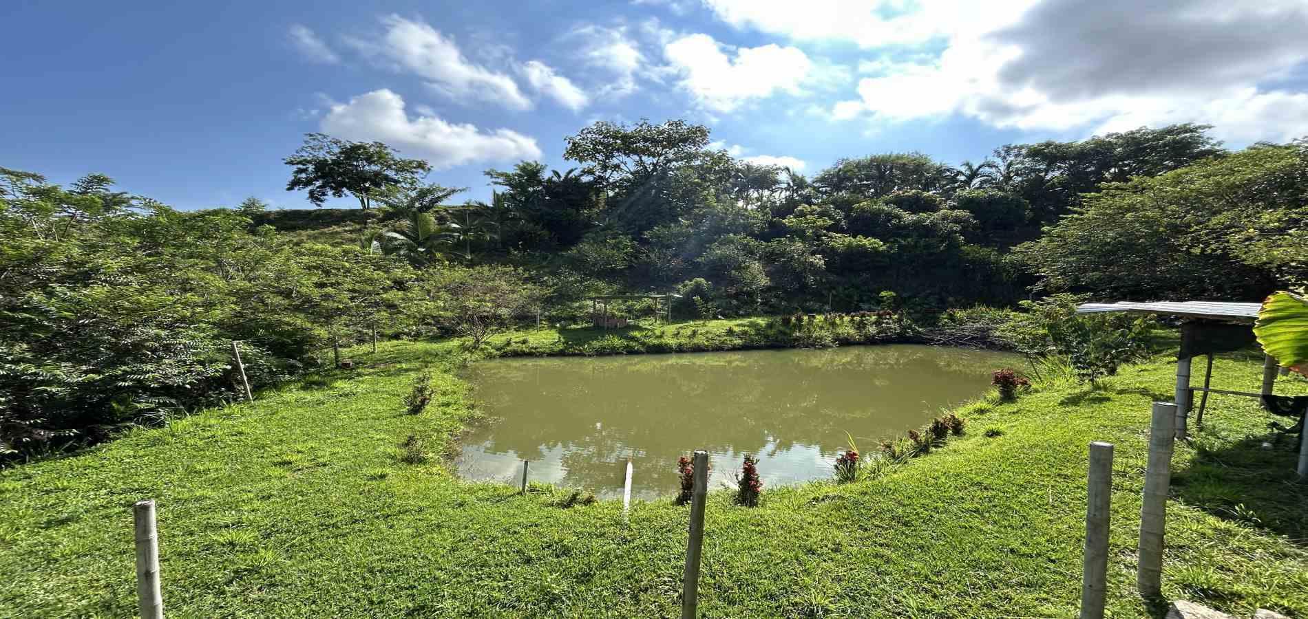 Foto de Lote / terreno en Venta en Cerritos, Pereira - 9 - 279068246