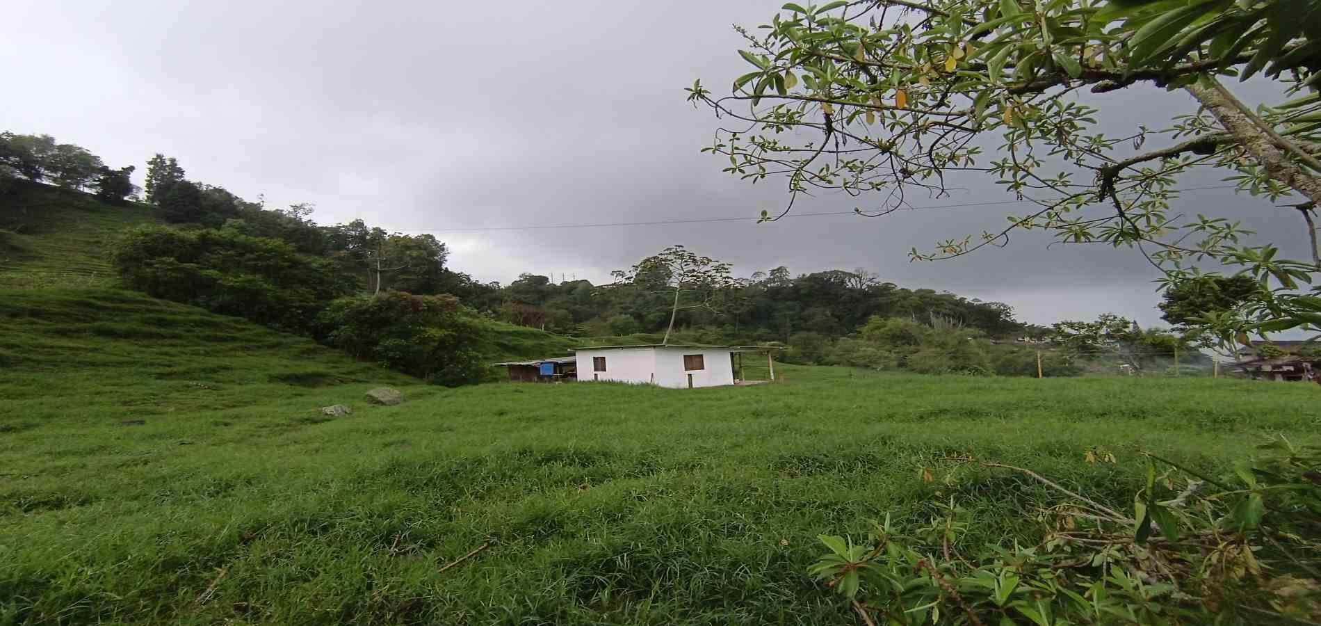 Foto de Finca en Venta en La francia, Manizales - 15 - 279066742