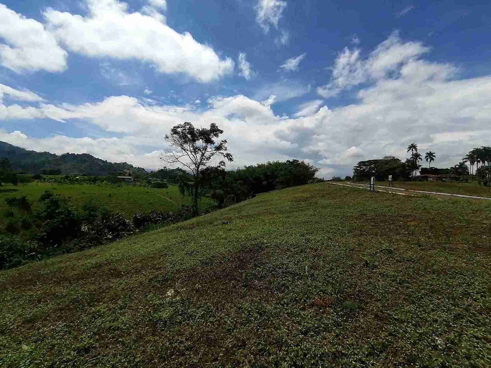 Foto de Lote / terreno en Venta en Combia, Pereira - 5 - 279060927