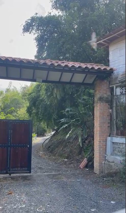 Foto de Lote / terreno en Venta en Via alcala, Pereira - 6 - 279060936