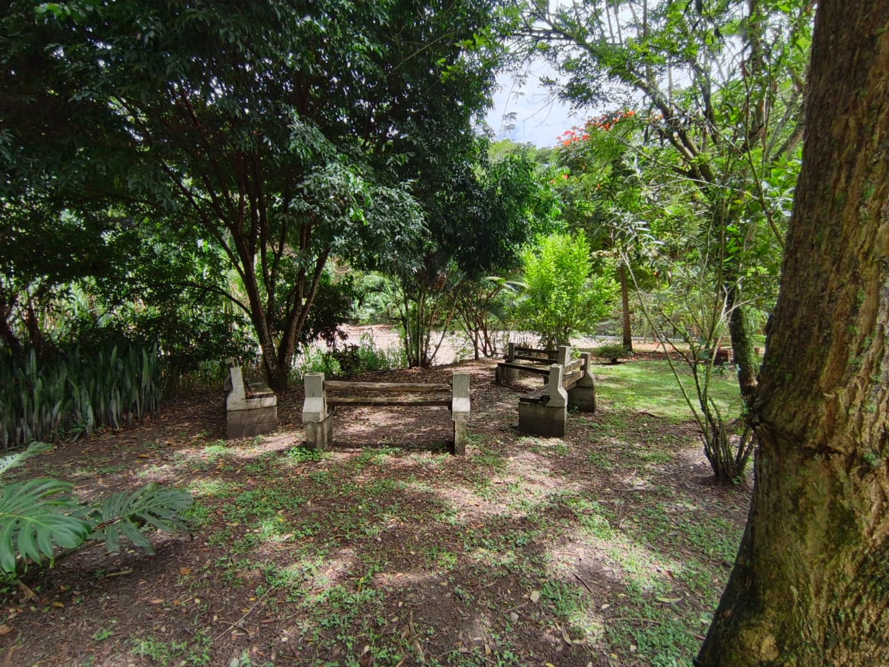 Foto de Lote / terreno en Venta en Condominio campestre reserva del campo, Manizales - 9 - 279064110