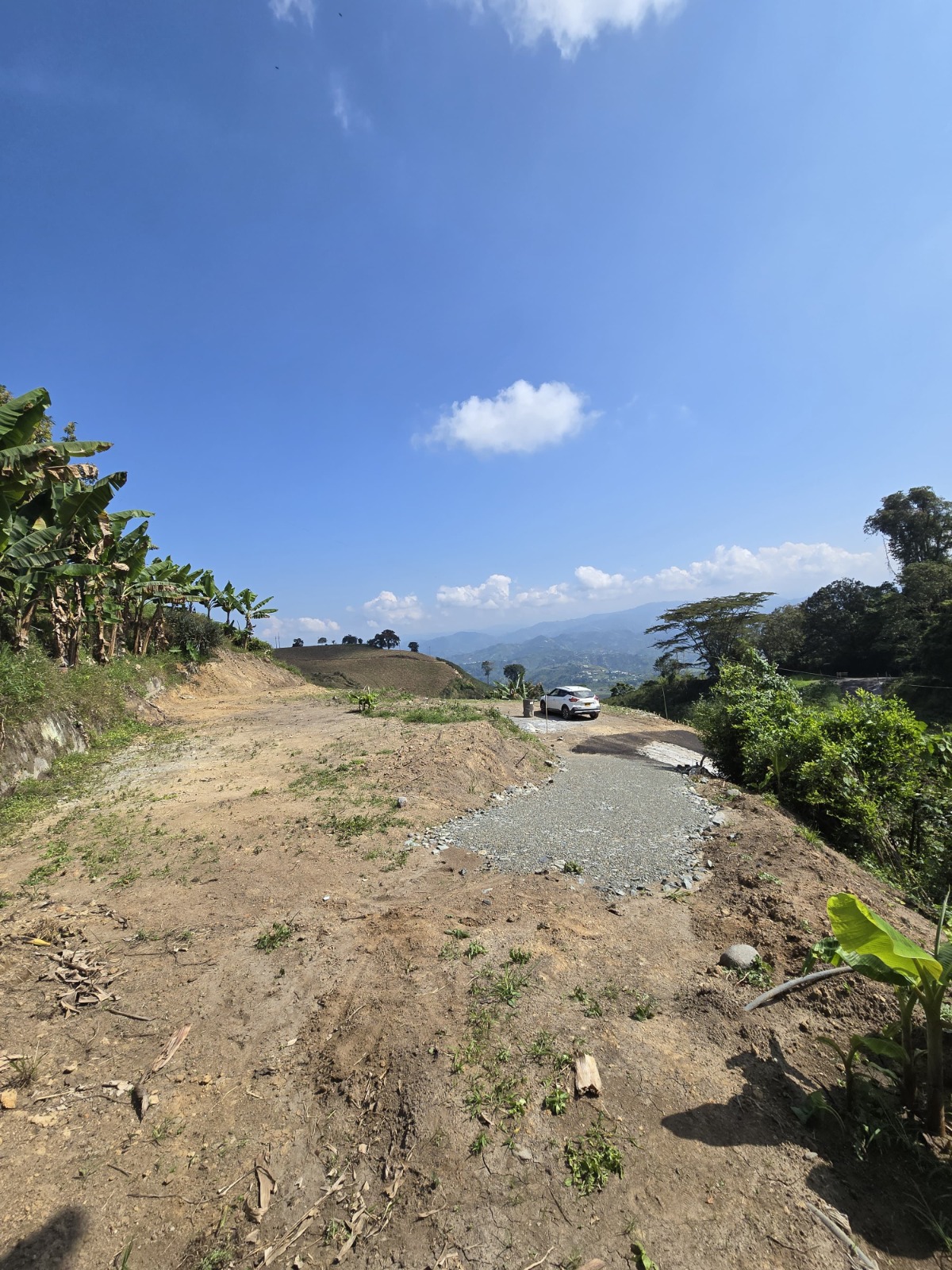 Foto de Lote / terreno en Venta en Via antigua palestina, Chinchina - 6 - 279063822
