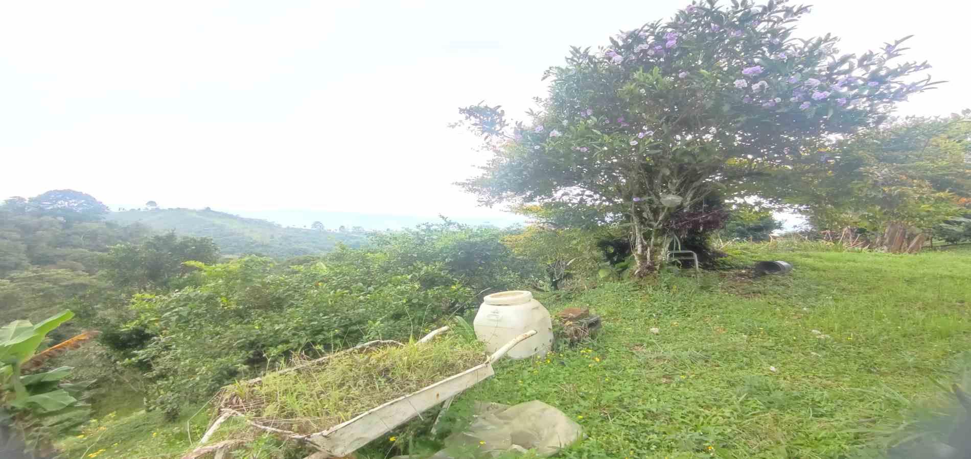 Foto de Finca en Venta en Vereda la independencia alto del nudo, Dosquebradas - 1 - 279065392