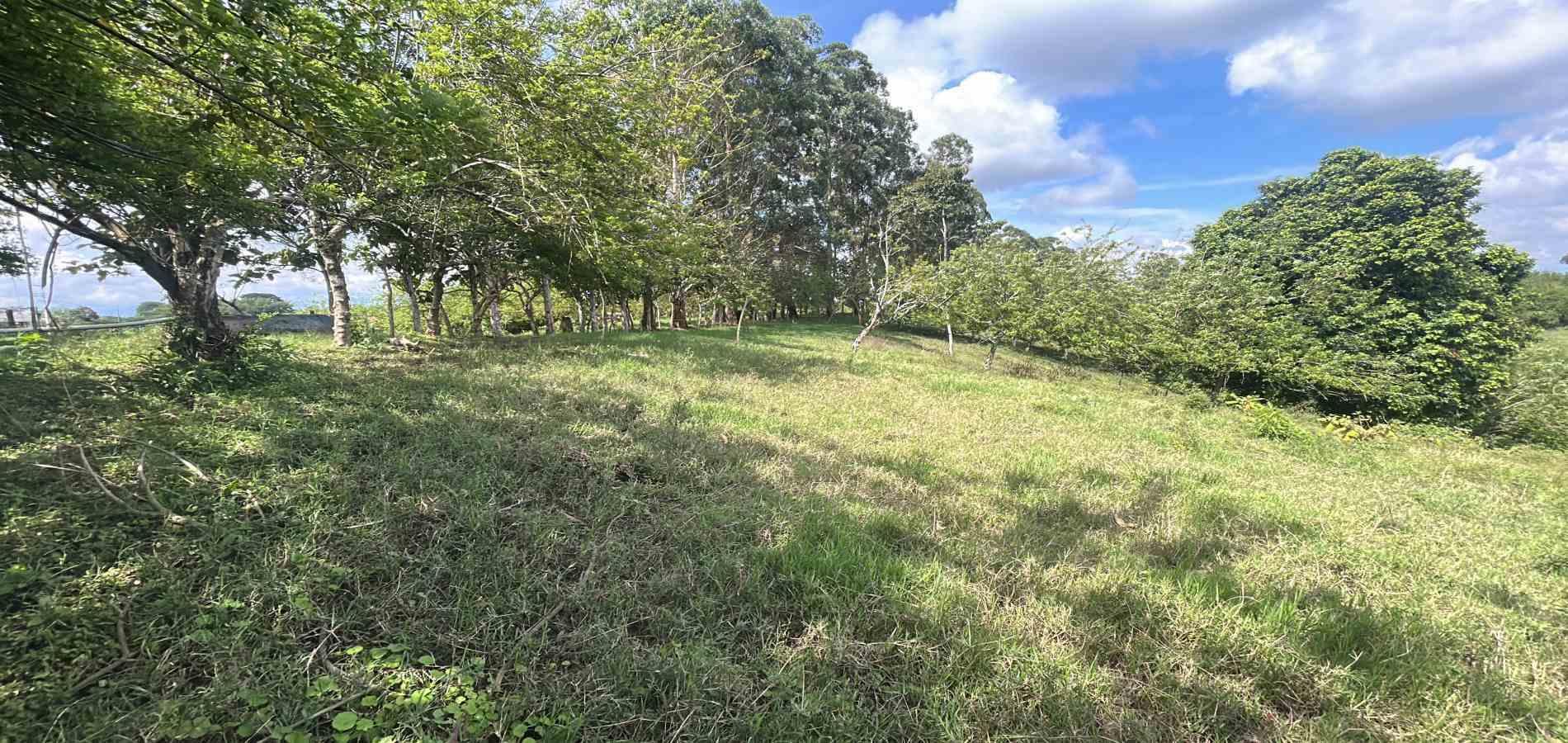 Foto de Lote / terreno en Venta en Via alcala, Pereira - 2 - 279066756