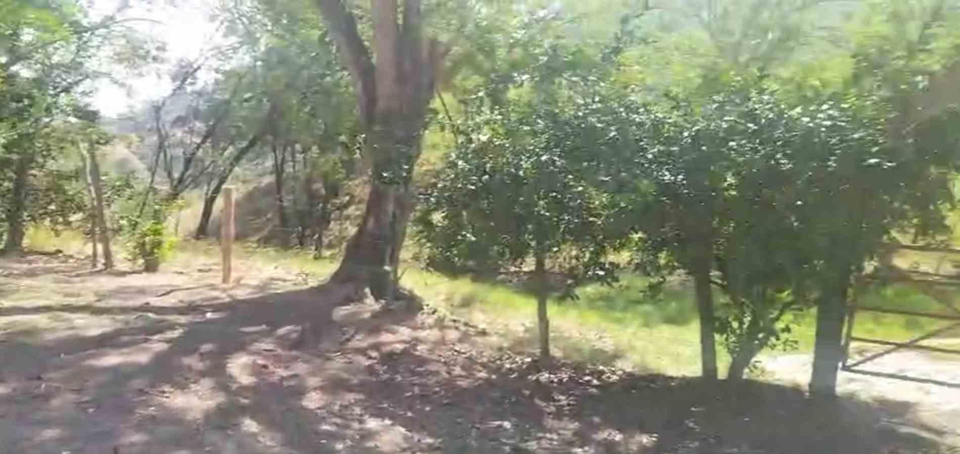 Foto de Finca en Venta en La florida, Filadelfia - 13 - 279064213