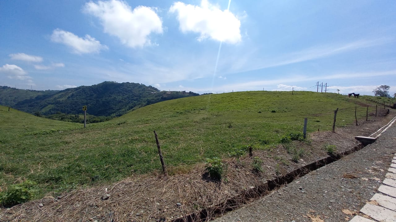 Foto de Lote / terreno en Venta en Vereda santagueda, Palestina - 24 - 279058796