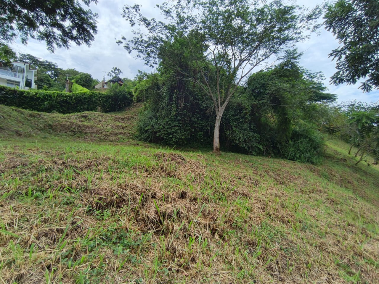 Foto de Lote / terreno en Venta en Condominio campestre reserva del campo, Manizales - 13 - 279064110
