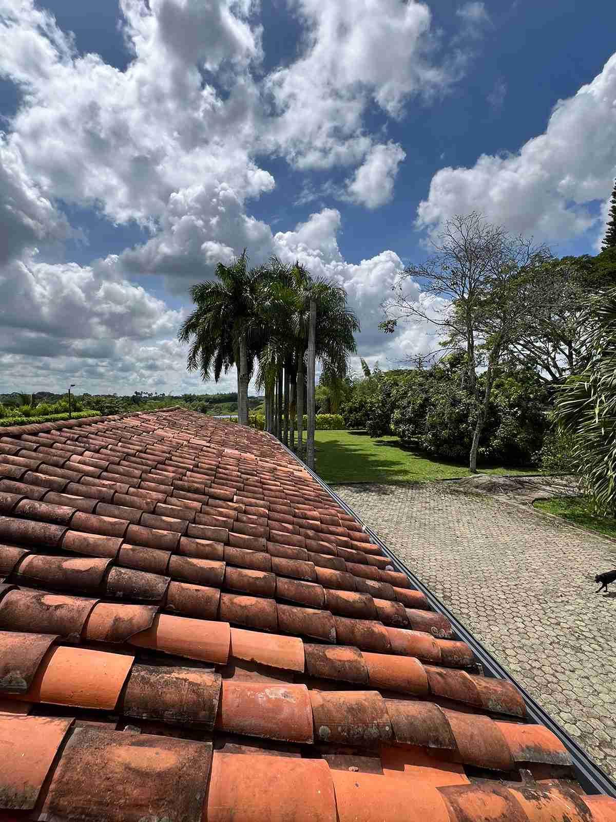 Foto de Casa campestre en Venta en Cerritos, Pereira - 36 - 279060050