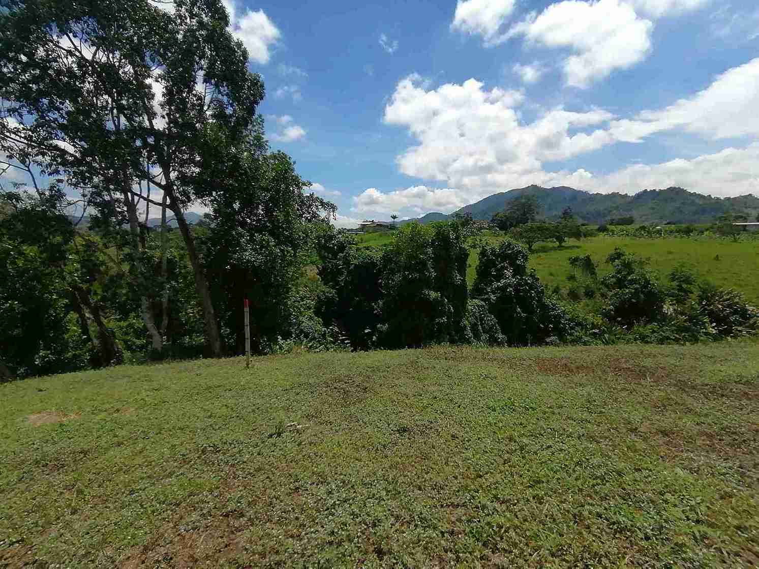 Foto de Lote / terreno en Venta en Combia, Pereira - 1 - 279060927