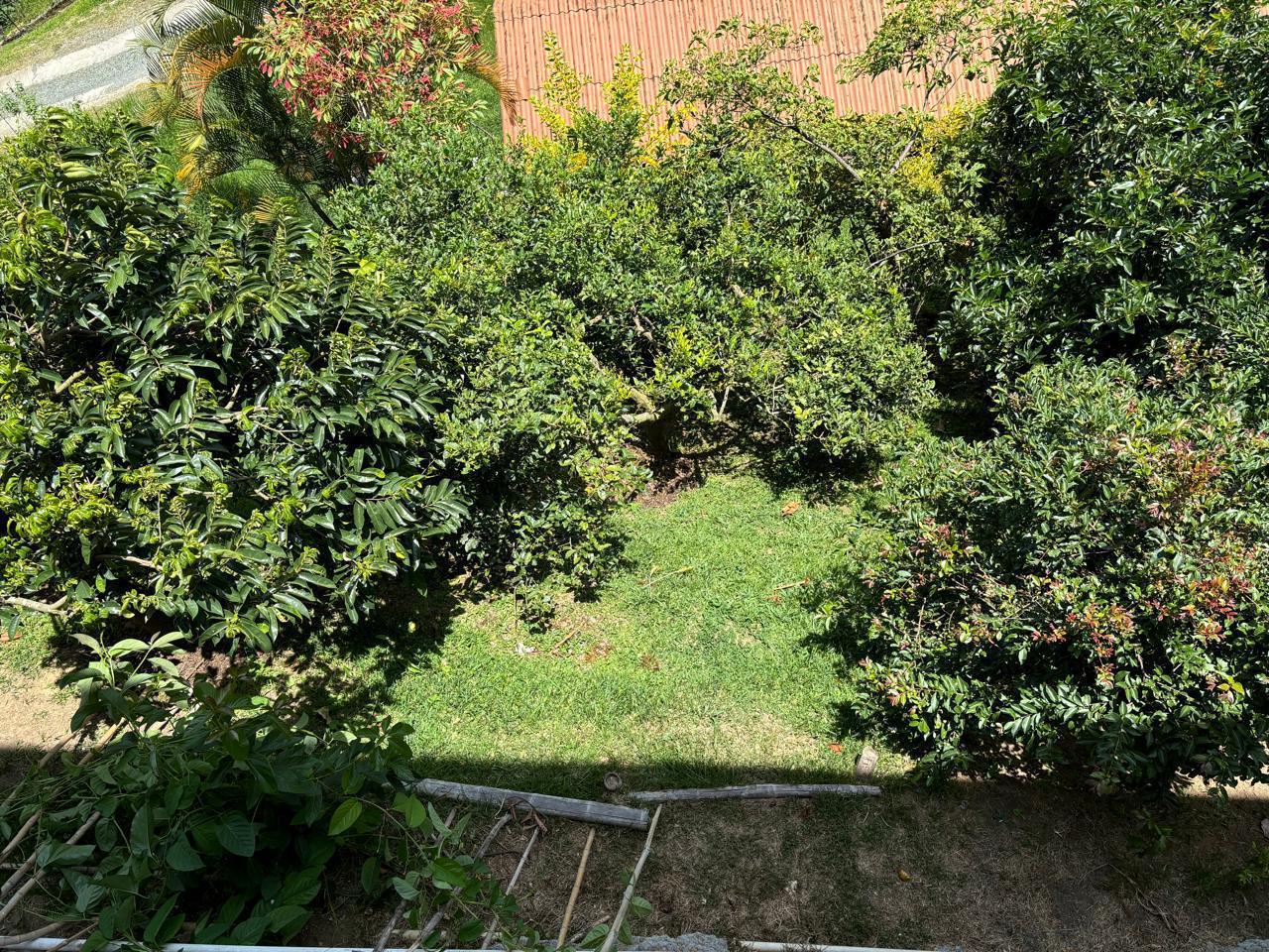 Foto de Casa en Venta en La muleta, Palestina - 22 - 279068127