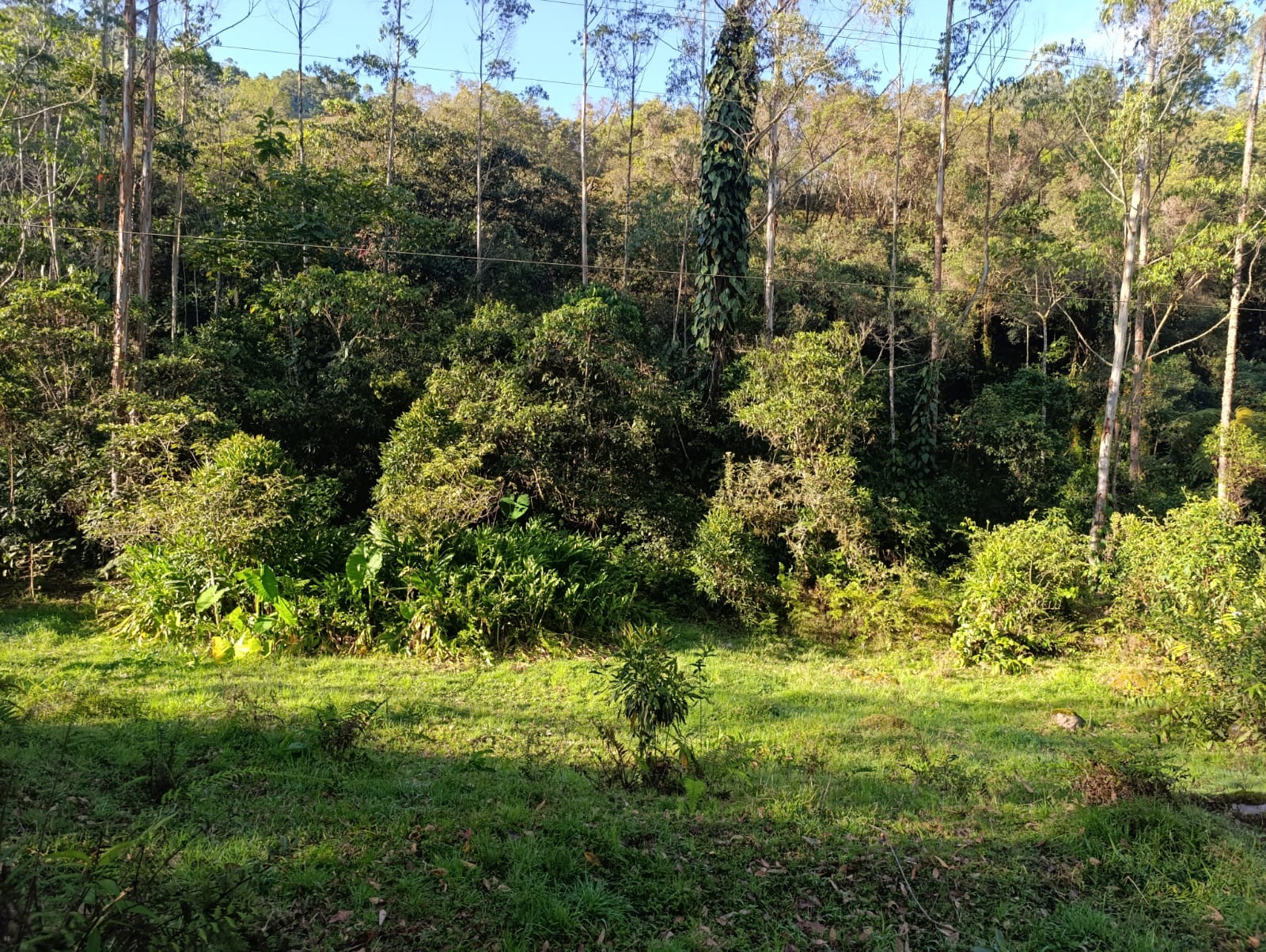 Foto de Lote / terreno en Venta en Santa rosa de cabal, Santa rosa de cabal - 4 - 279064480